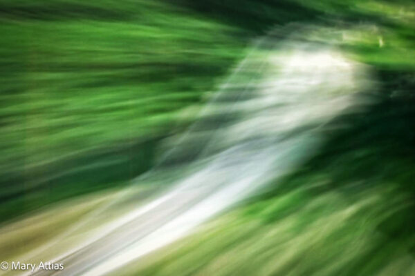 10_INTO THE LIGHT_FUGACES