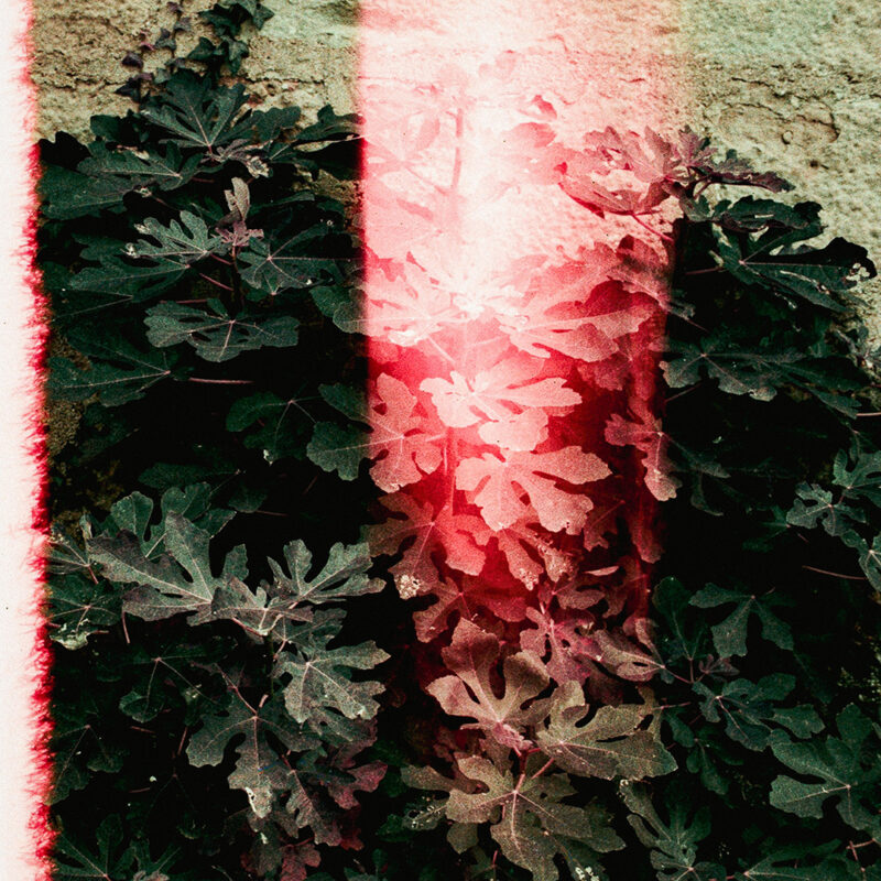 © Berta Viteri © Berta Viteri