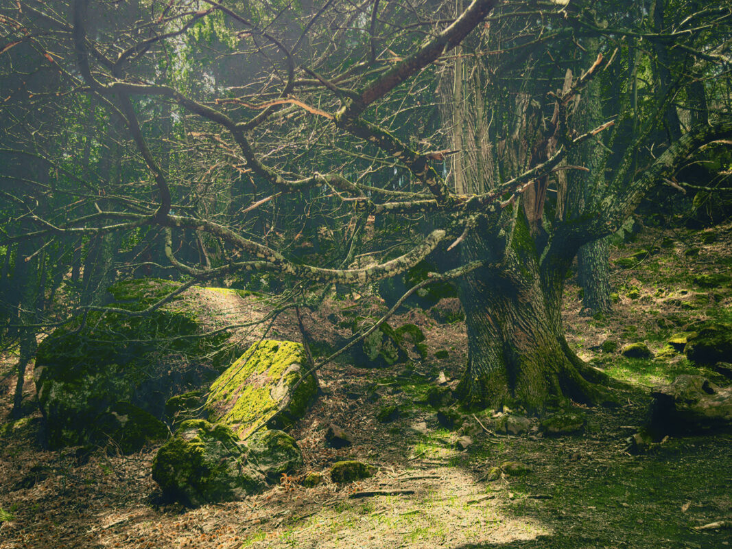 © David Santamaría (Pixtorm)