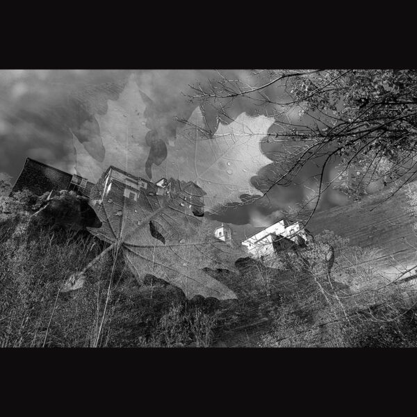 Fotografia ganadora maratón fotográfico