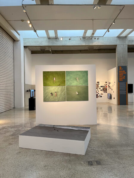 Elizabeth_Schummer_INHABITANS-2